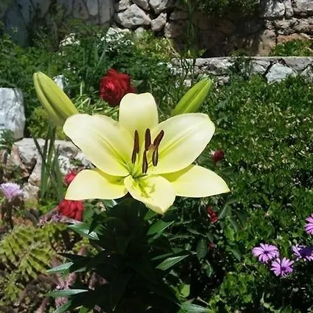 Seabreeze Hvar * Хвар