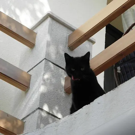 Apartman Seabreeze Hvar