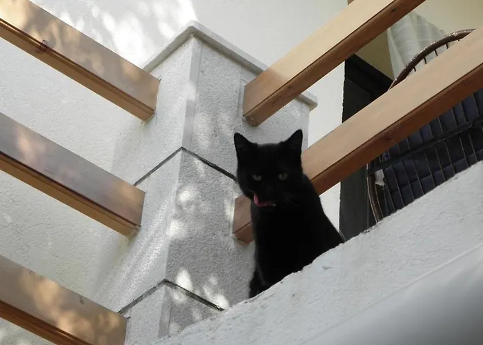 Apartment Seabreeze Hvar