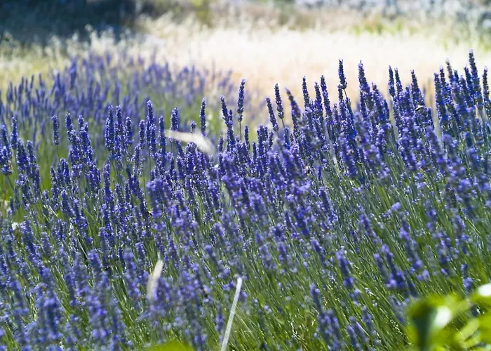 Seabreeze Hvar * Hvar Town