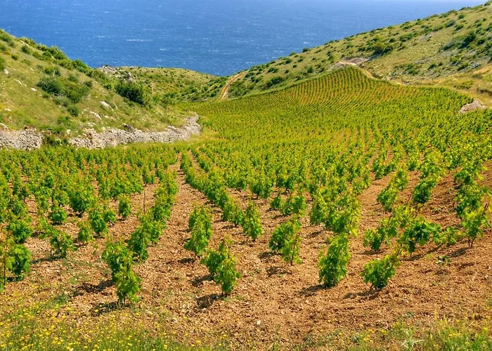 Seabreeze Hvar Hvar Town