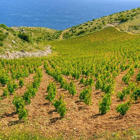 Seabreeze Hvar 흐바르